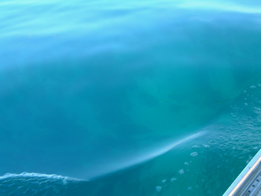 blue water from deck of a yacht