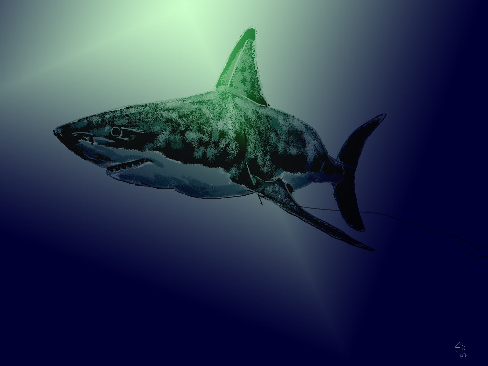 Painting: a large shark swimming on a deep blue background.